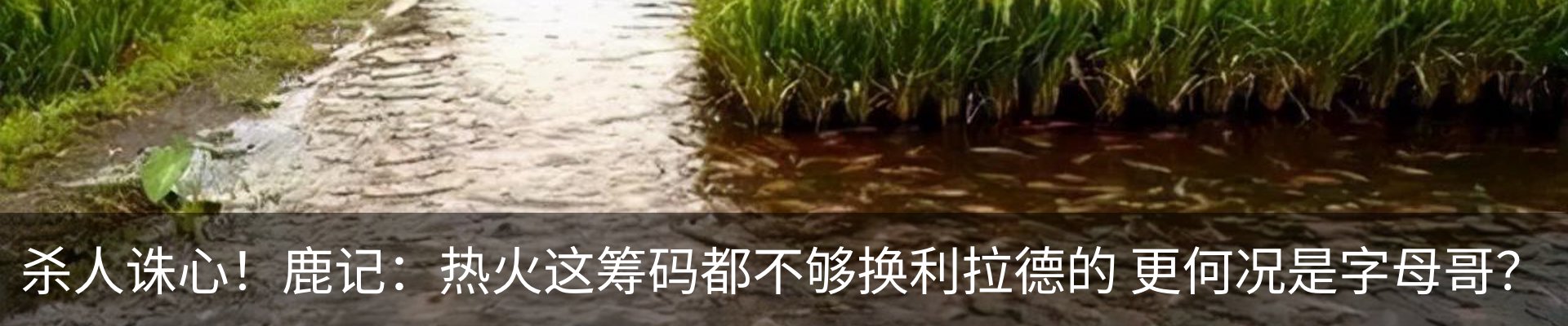 内页banner
