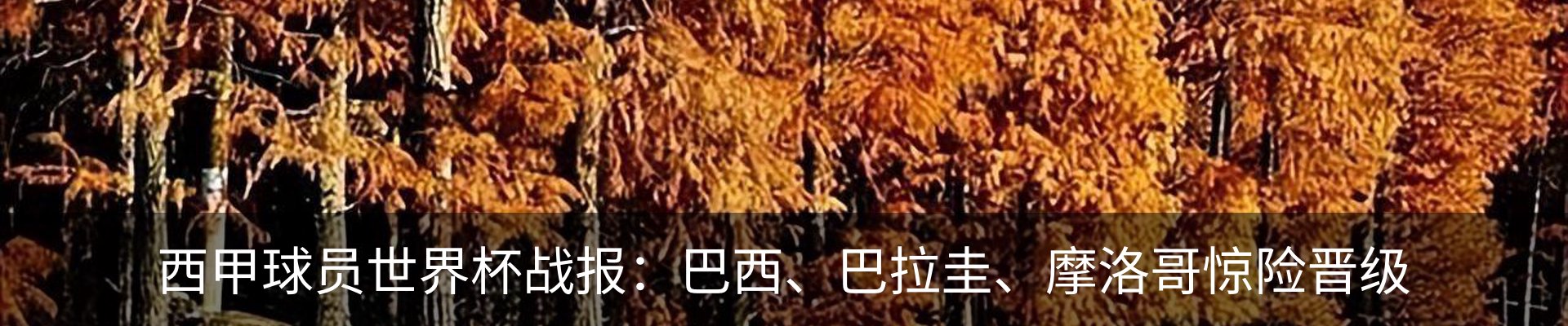 内页banner